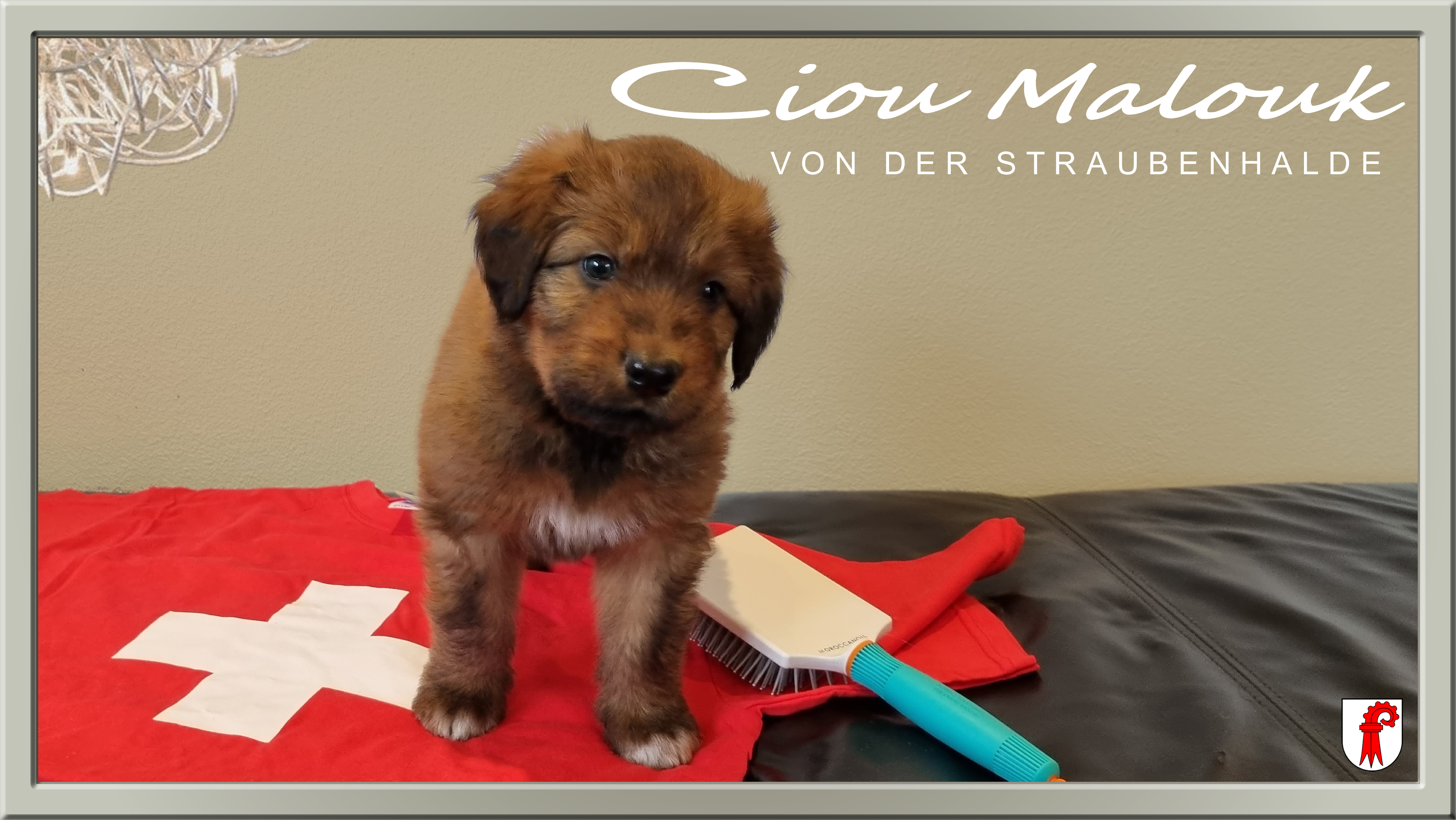 W&auml;ller von der Straubenhalde